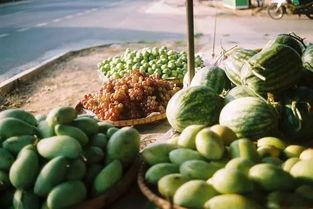 东北真瓜怎么吃,解锁美味新体验