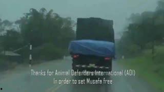 半夜吃瓜视频大全