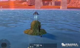 吃瓜pubg,一场全民狂欢的电竞盛宴