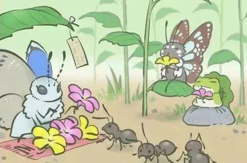 青蛙吃瓜反思,生态平衡的启示与反思