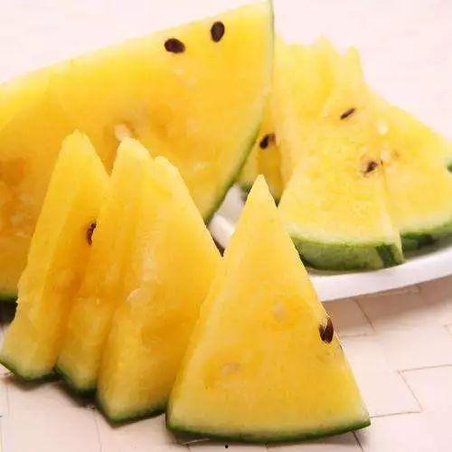 哪里可以看吃瓜合集