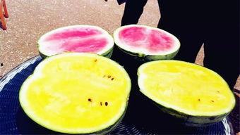 重庆吃瓜爆料,揭秘当地美食江湖风云