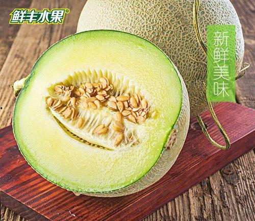 网纹瓜直播卖货吃,一场视觉与味蕾的盛宴