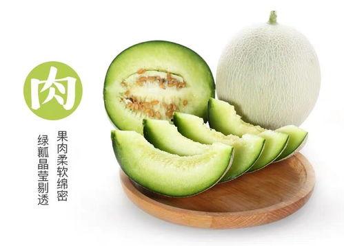 网纹瓜直播卖货吃,一场视觉与味蕾的盛宴