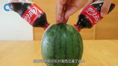 美的正在吃瓜看,品味瓜果，尽享生活雅趣