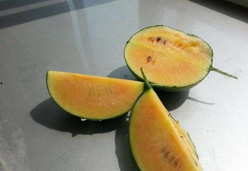 带你吃瓜解说彩虹