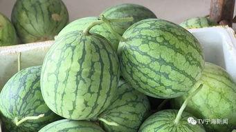 带你吃瓜解说彩虹