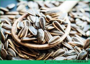 卖酒瓜子吃瓜,品味生活，尽享休闲时光