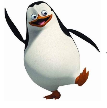 企鹅吃瓜头像高清,萌态十足，高清头像诠释夏日清凉