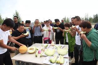 梦到吃老汉瓜,揭秘梦中吃老汉瓜的神秘寓意