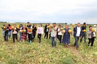 梦到吃老汉瓜,揭秘梦中吃老汉瓜的神秘寓意