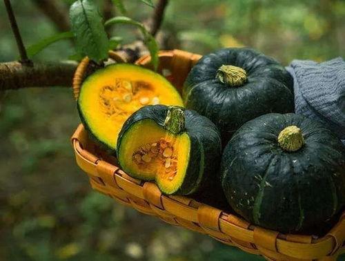 板栗瓜蒸着吃还是煮着吃