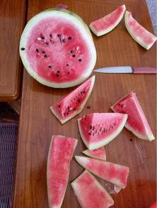 坎瓜能煮着吃吗,能否成为餐桌上的美味佳肴？