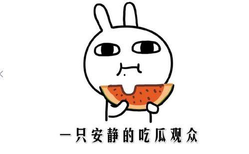 企鹅吃瓜的正确方法,轻松掌握萌宠美食技巧