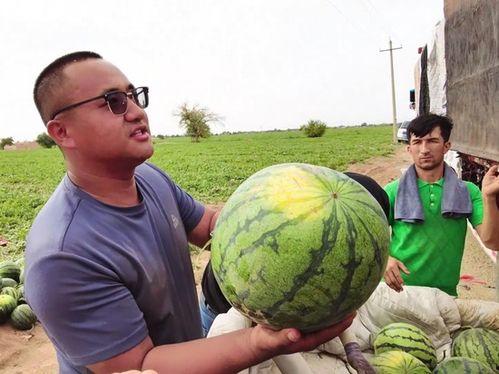 吃瓜图片专用图片