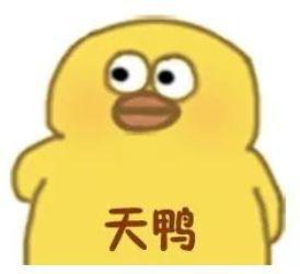 无语的吃天然瓜路人,人生无语的奇幻旅程